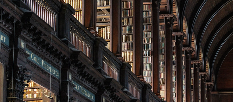 BİZNES BÖLMƏLƏRİ